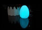 Luz dada forma ovo conduzida PVC macia da luz da noite da novidade com a bateria 3*LR44 fornecedor