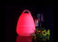 A lanterna a pilhas plástica do diodo emissor de luz ilumina a cor do RGB que muda com punho portátil fornecedor