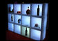 Refrigerador recarregável da cubeta de gelo da luz 40cm do cubo do diodo emissor de luz do polietileno para a exposição da garrafa fornecedor